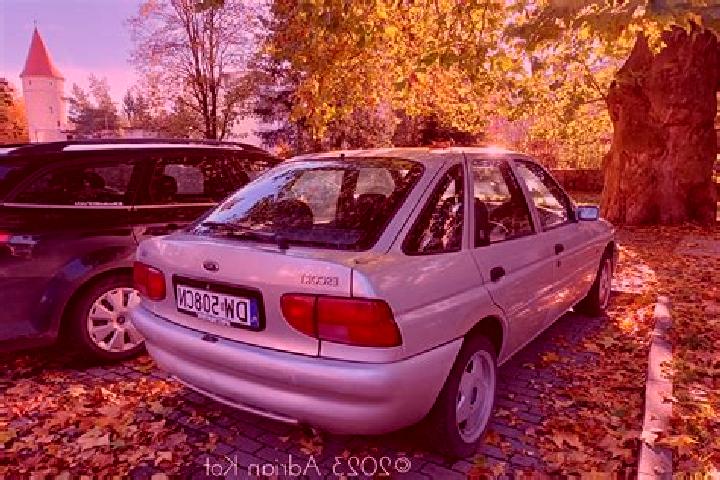 escort Badenhard