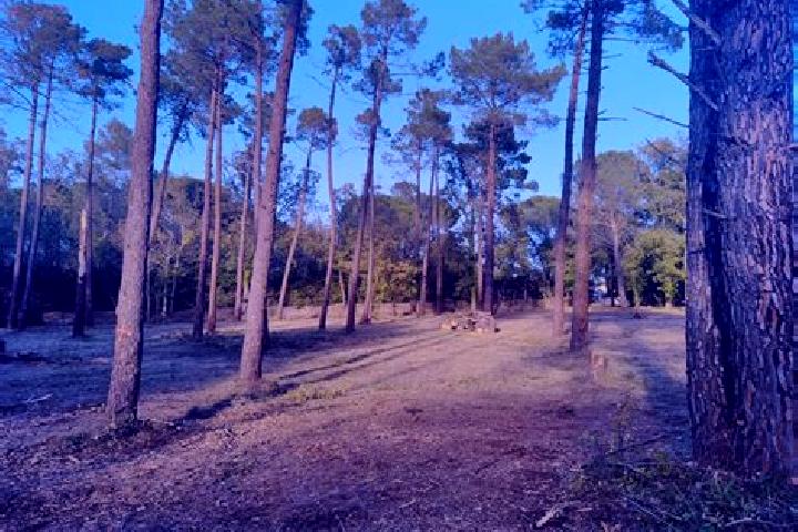 escort Bagnols-en-Foret