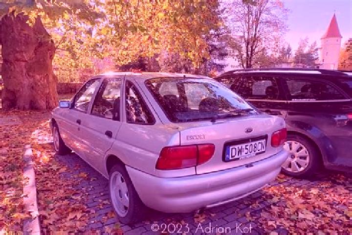 escort Bakchar