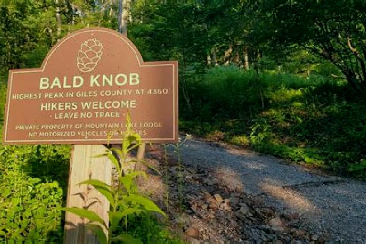escort Bald Knob