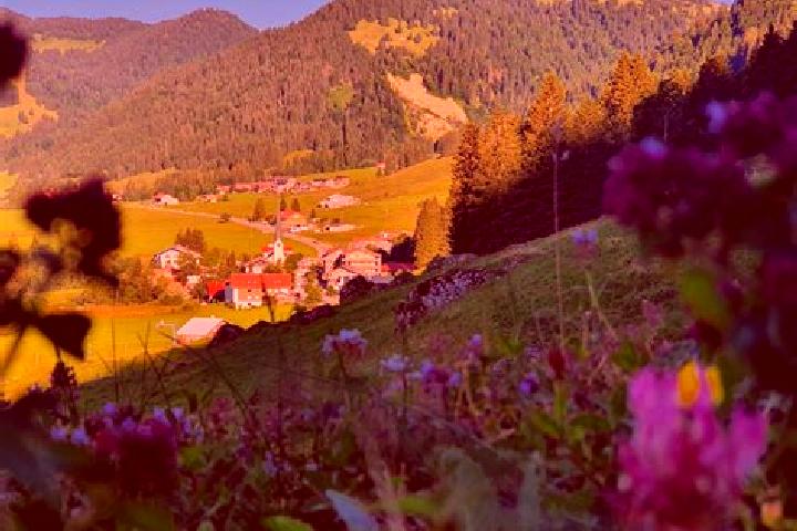 escort Balderschwang