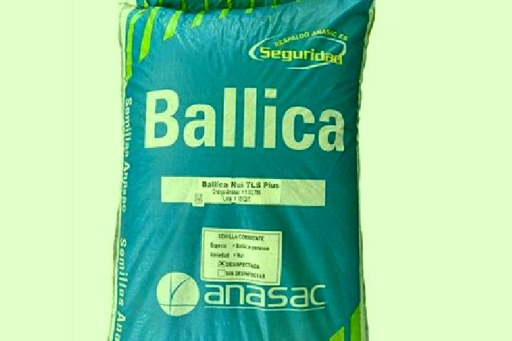 escort Ballica