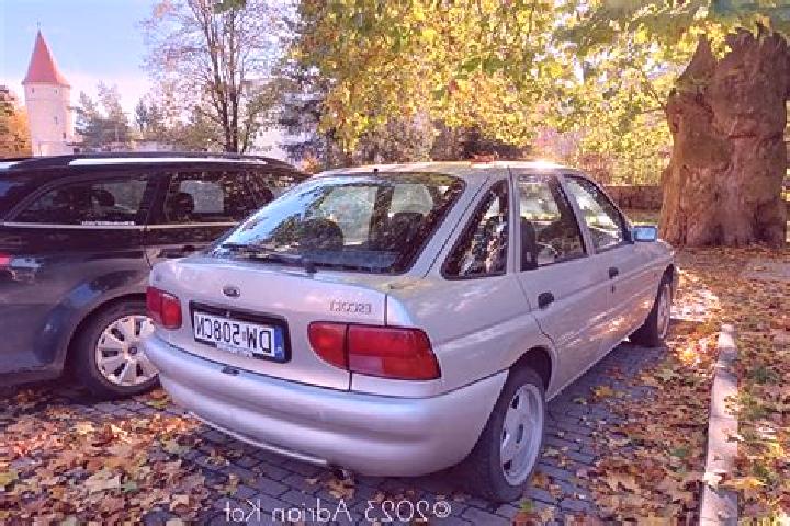 escort Baltzenheim