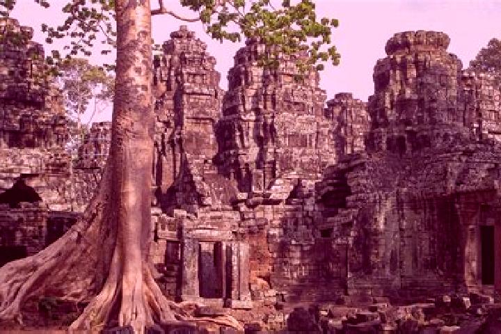 escort Banteay Meas Khang Kaeut