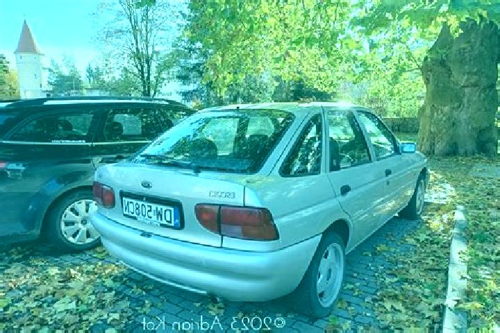 escort Barberton
