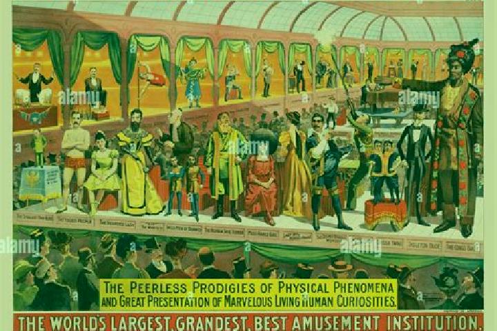 escort Barnum