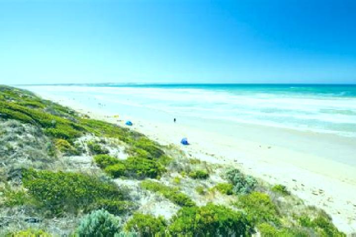 escort Barwon Heads
