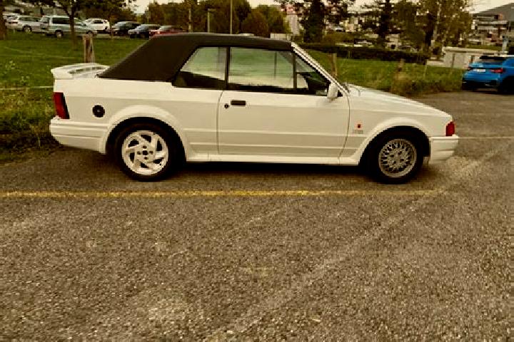escort Bas-Vully