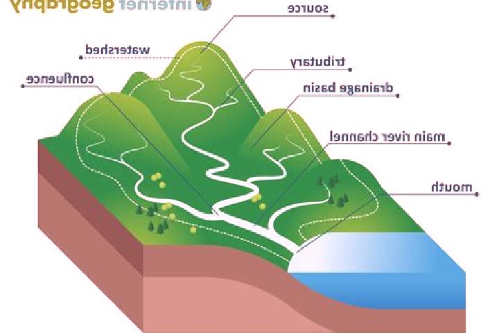 escort Basin