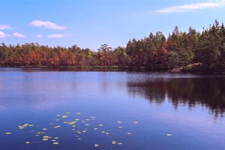 escort Bass Lake