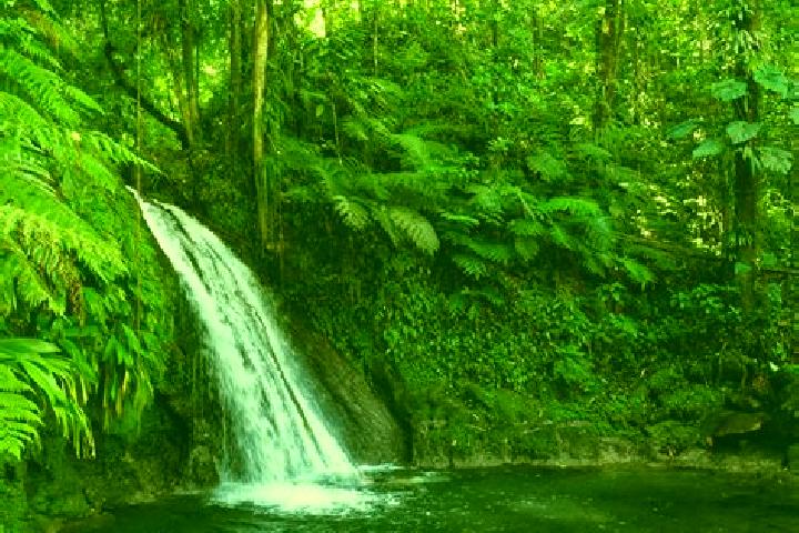 escort Basse-Terre