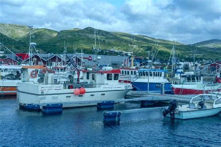 escort Batsfjord