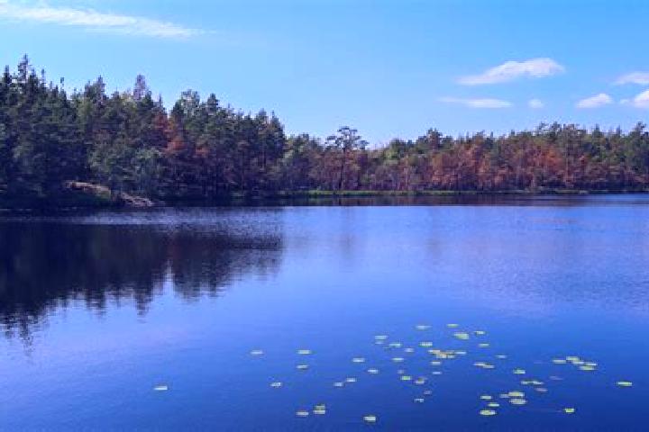 escort Battle Lake