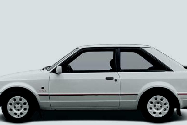 escort Bayir