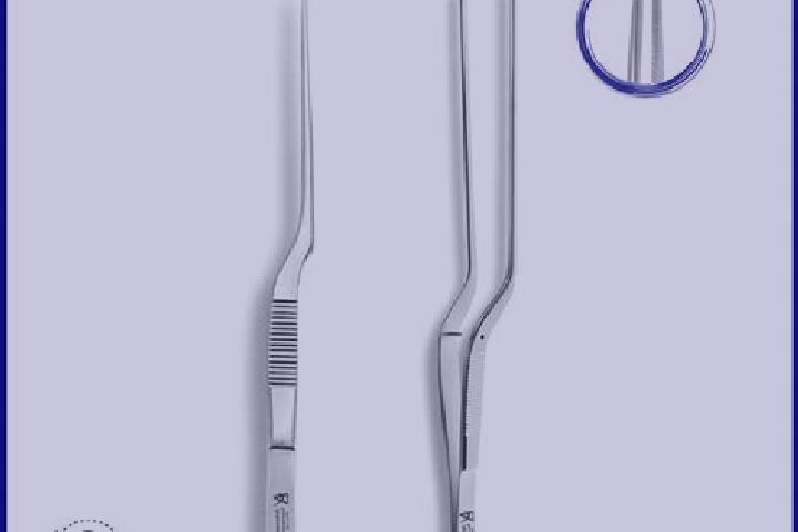 escort Bayonet Head
