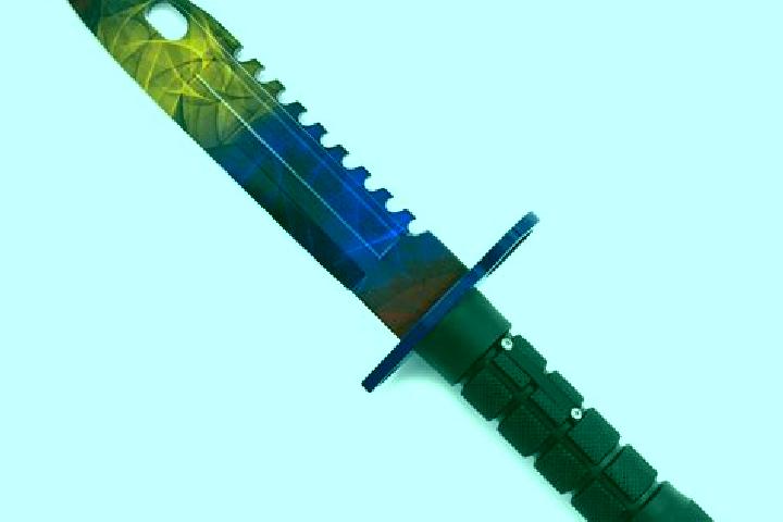 escort Bayonet Point