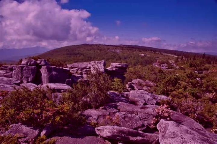 escort Bear Rocks