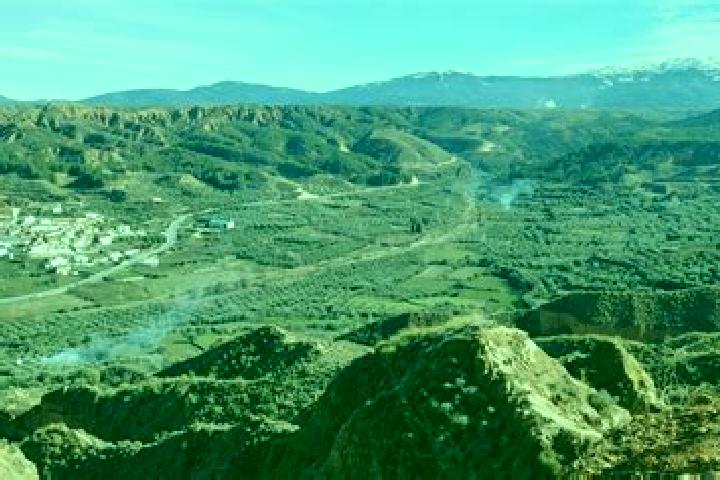 escort Beas de Guadix