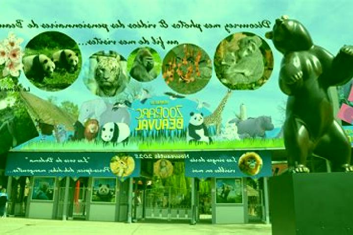 escort Beauval