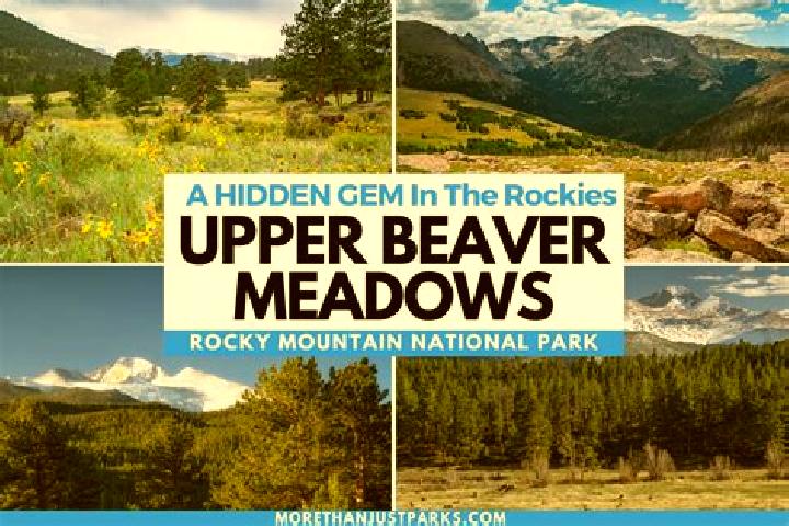 escort Beaver Meadows