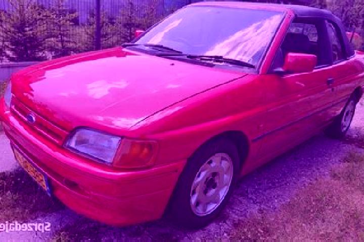 escort Bedzin