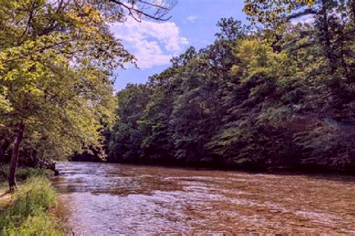 escort Beech Creek