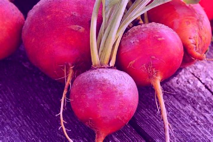 escort Beets