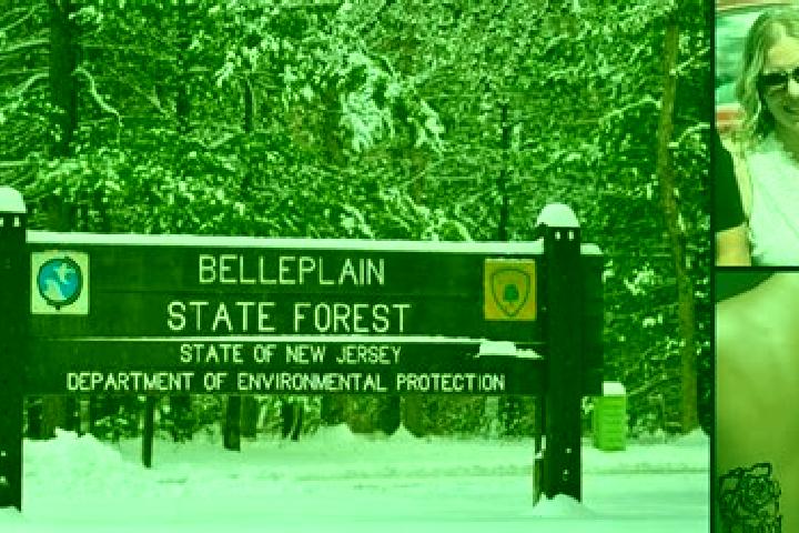 escort Belleplain