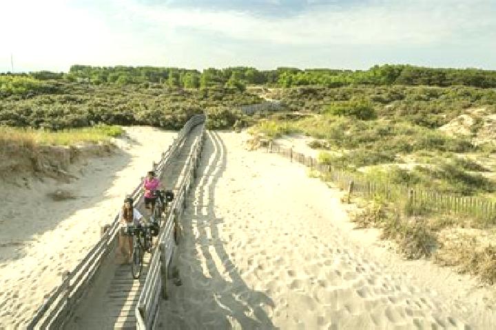 escort Berck-Plage
