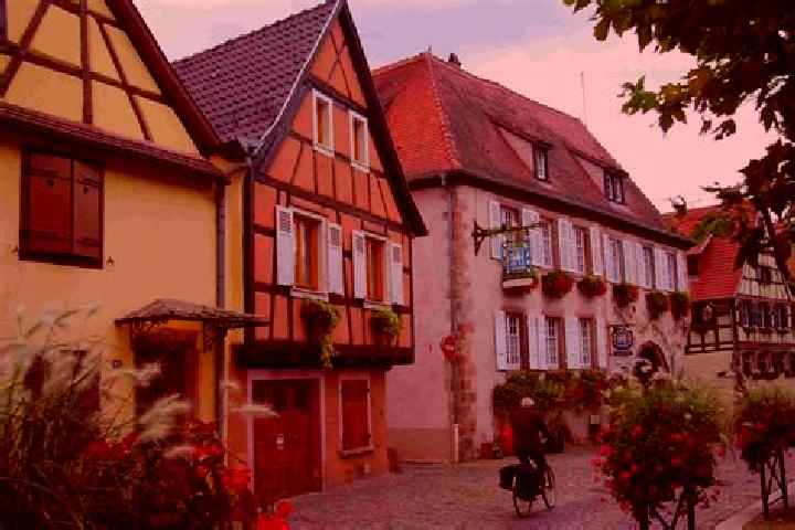 escort Bergheim