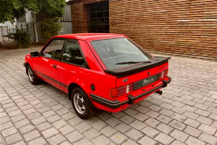 escort Bergrheinfeld