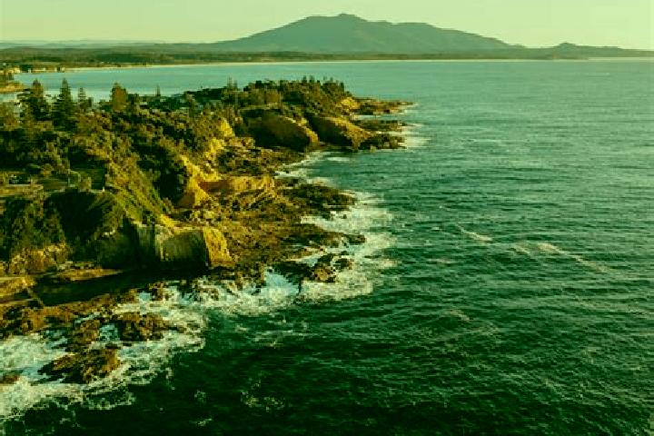 escort Bermagui