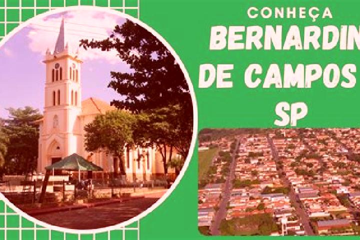 escort Bernardino de Campos