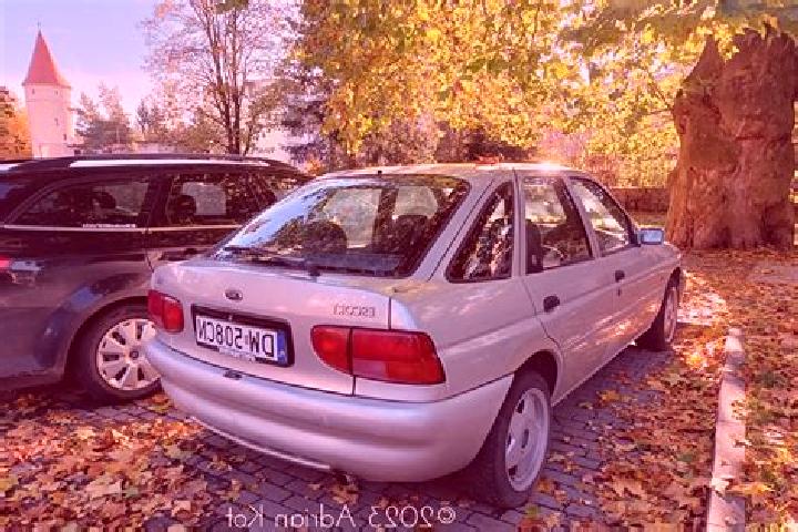escort Bernezzo