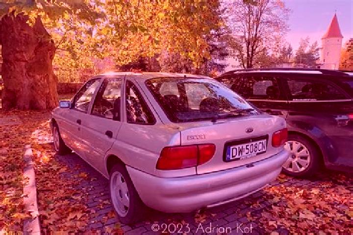 escort Bertignat
