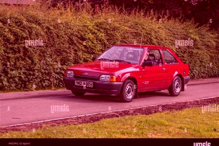 escort Berzosilla