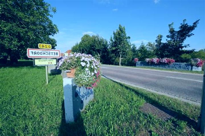 escort Betschdorf