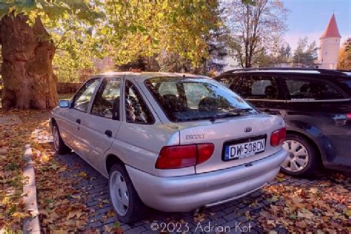 escort Beusichem