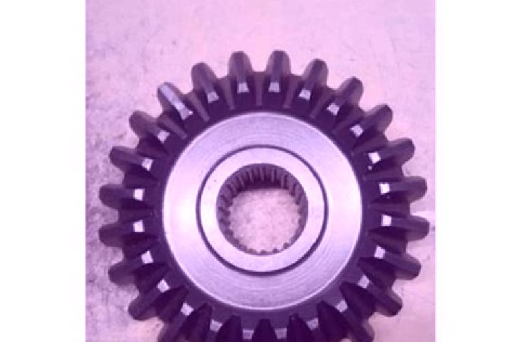 escort Bevel