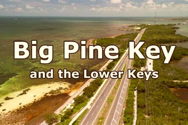escort Big Pine Key