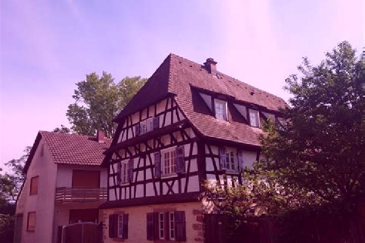 escort Billigheim-Ingenheim