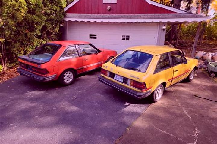 escort Binau