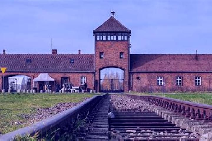 escort Birkenau