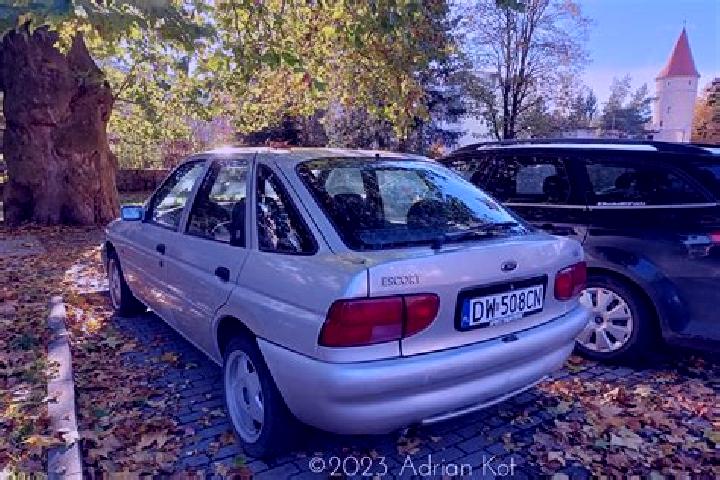 escort Biskupija