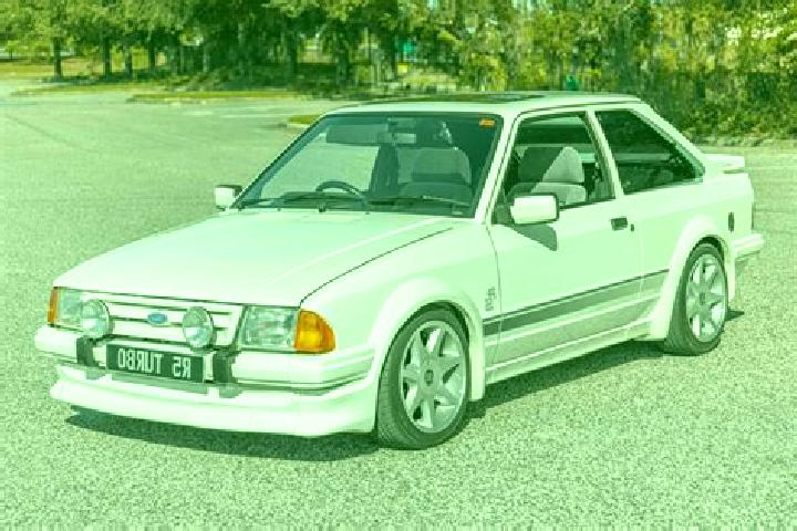 escort Bitin