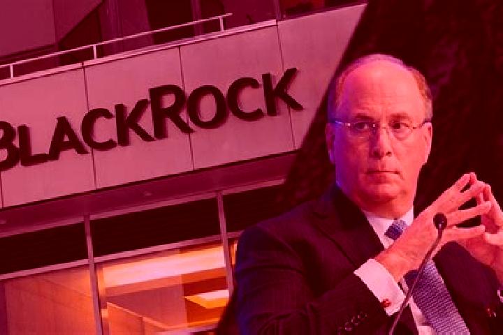 escort Blackrock