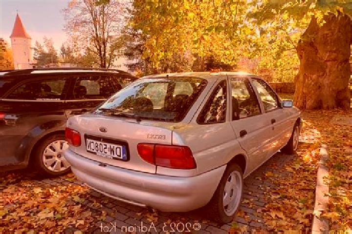 escort Bledow