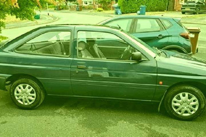 escort Blue Mountain