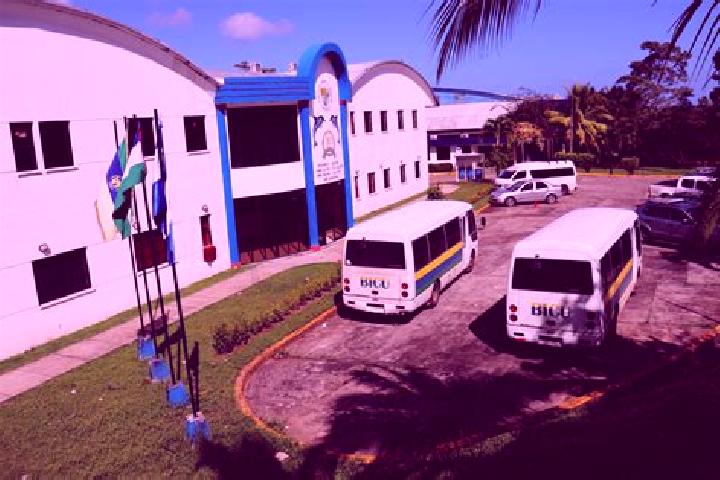 escort Bluefields