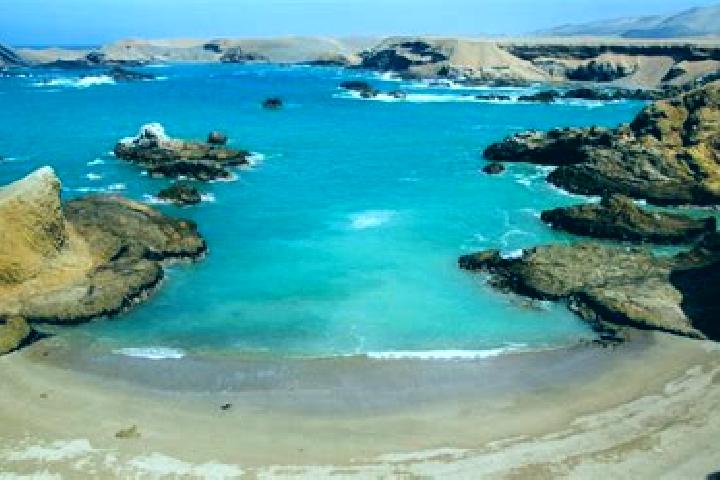 escort Boca de Lima